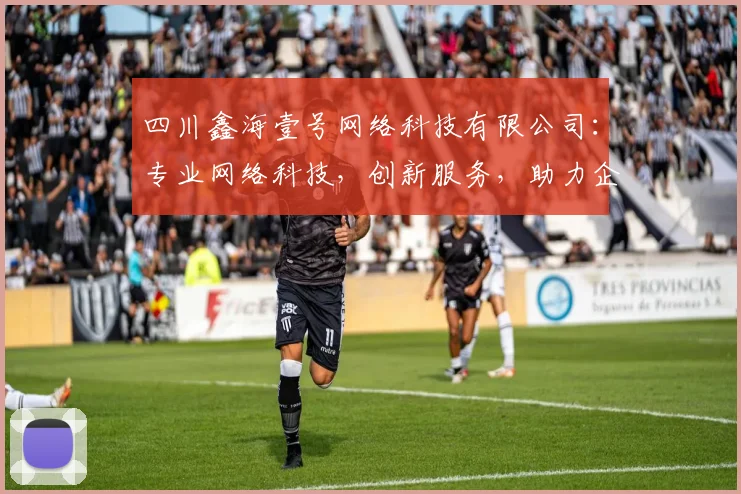 四川鑫海壹号网络科技有限公司：专业网络科技，创新服务，助力企业成长，三重优势，值得信赖