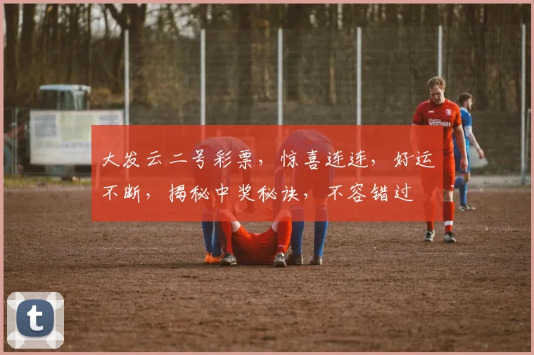 大发云二号彩票，惊喜连连，好运不断，揭秘中奖秘诀，不容错过