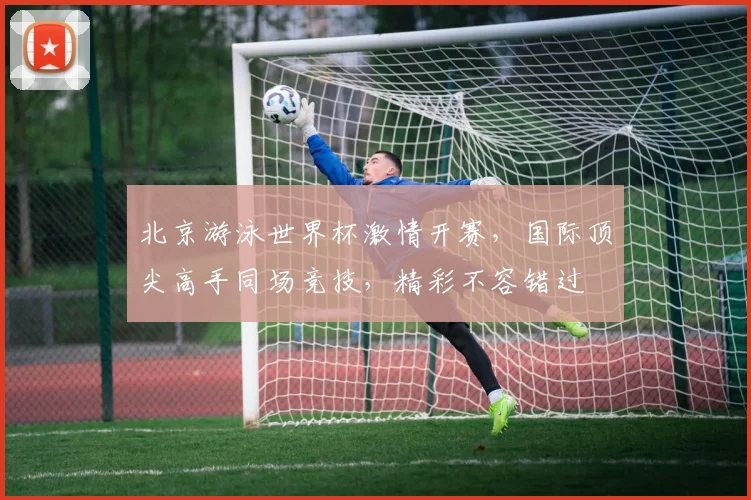 北京游泳世界杯激情开赛，国际顶尖高手同场竞技，精彩不容错过