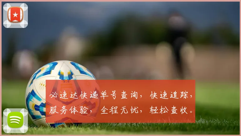 必速达快递单号查询，快速追踪，服务体验，全程无忧，轻松查收。
