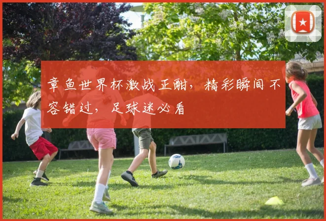 章鱼世界杯激战正酣，精彩瞬间不容错过，足球迷必看