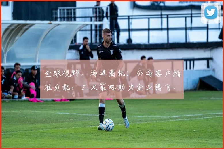 全球视野，海洋商机：公海客户精准分配，三大策略助力企业腾飞，洞察市场脉搏